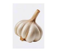 Azeeda 'Garlic Bulb' Temporary Tattoo - Water Resistant, Skin-Safe, Non-Toxic Transfer (TO00098793)