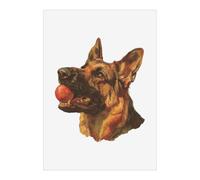 Azeeda 'German Shepherd with Ball' Poster - A1 Portrait (PP00376659)