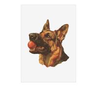Azeeda 'German Shepherd with Ball' Poster - A2 Portrait (PP00376658)