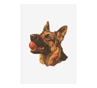 Azeeda 'German Shepherd with Ball' Poster - A4 Portrait (PP00376656)