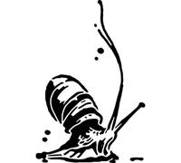 Azeeda 'Giant African Land Snail' Reusable Stencil - Durable Decorative Template for Painting and Spraying on Walls, Tiles, Wood, Fabric & Craft Projects - S (A6) (WS00067850)