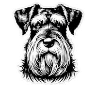 Azeeda 'Giant Schnauzer' Clear Premium Vinyl Decal Stickers - Waterproof, Durable & Easy to Apply - for Car Bumpers, Windows, Bins & More - Large (210mm) (DC00133986)