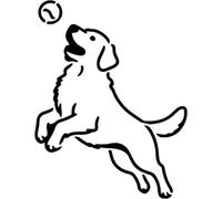 Azeeda 'Golden Retriever Catching Tennis Ball' Stencil/Template (WS00083836)