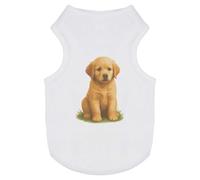 Azeeda 'Golden Retriever Puppy Sitting On The Grass' Pet Dog/Cat T-Shirt, XS (PT00165020)