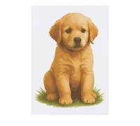 Azeeda 'Golden Retriever Puppy Sitting On The Grass' Temporary Tattoo - Water Resistant, Skin-Safe, Non-Toxic Transfer (TO00091001)