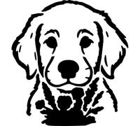 Azeeda 'Golden Retriever Puppy with Flowers' Reusable Stencil - Durable Decorative Template for Painting and Spraying on Walls, Tiles, Wood, Fabric & Craft Projects - S (A6) (WS00071089)