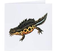 Azeeda 'Great Crested Newt Salamander' Blank Greeting Card (GC00088391)