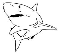 Azeeda 'Great White Shark' Reusable Stencil - Durable Decorative Template for Painting and Spraying on Walls, Tiles, Wood, Fabric & Craft Projects - M (A5) (WS00060346)