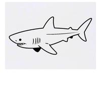 Azeeda 'Great White Shark' Temporary Tattoo - Water Resistant, Skin-Safe, Non-Toxic Transfer (TO00099829)