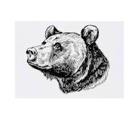 Azeeda 'Grizzly Bear Portrait' Temporary Tattoo - Water Resistant, Skin-Safe, Non-Toxic Transfer (TO00090457)