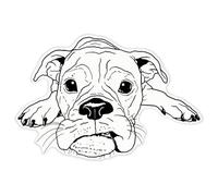 Azeeda 'Grumpy Boxer Dog' Clear Premium Vinyl Decal Stickers - Waterproof, Durable & Easy to Apply - for Car Bumpers, Windows, Bins & More - XXL (720mm) (DC00155453)