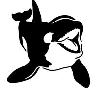 Azeeda 'Happy Orca Whale' Reusable Stencil - Durable Decorative Template for Painting and Spraying on Walls, Tiles, Wood, Fabric & Craft Projects - S (A6) (WS00069117)