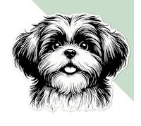 Azeeda 'Happy Shih Tzu Dog' White Premium Vinyl Decal Sticker - Waterproof, Durable & Easy to Apply - Ideal for Car Bumpers, Windows, Bins and More - Large (210mm) (DW00129110)