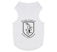Azeeda 'Hare Today Gone Tomorrow' Pet T-Shirt - White, L (PT00196255)