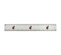 Azeeda 'Havana Brown Cat' 30cm (12 Inch) White Plastic Ruler (RL00108376)