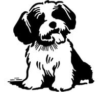 Azeeda 'Havanese Dog' Reusable Stencil - Durable Decorative Template for Painting and Spraying on Walls, Tiles, Wood, Fabric & Craft Projects - M (A5) (WS00054886)