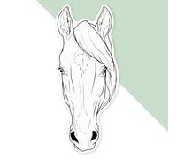 Azeeda 'Horse Head' Premium Vinyl Decal Sticker - Waterproof, Durable & Easy to Apply - Ideal for Cars, Windows, Bins and More - 720mm (XXL) (DW00161011)