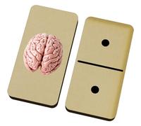 Azeeda 'Human Brain' Domino Set & Box (DM00056685)