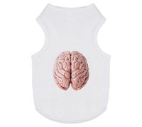 Azeeda 'Human Brain' Pet Dog/Cat T-Shirt, L (PT00185067)