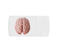 Azeeda 'Human Brain' Pill Box with Tablet Splitter (PI00042669)