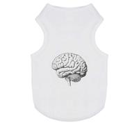 Azeeda 'Human Brain Side View' Pet Dog/Cat T-Shirt, L (PT00148691)
