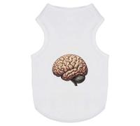 Azeeda 'Human Brain Side View' Pet Dog/Cat T-Shirt, L (PT00175239)