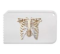 Azeeda 'Human Ribcage' Plastic Ice Scraper (IC00050692)