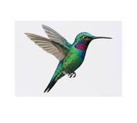 Azeeda 'Hummingbird In Flight' Temporary Tattoo - Water Resistant, Skin-Safe, Non-Toxic Transfer (TO00095655)
