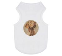 Azeeda 'Hungarian Vizsla Dog' Pet Dog/Cat T-Shirt, M (PT00144238)