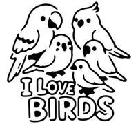 Azeeda 'I Love Birds' Reusable Stencil - Durable Decorative Template for Painting and Spraying on Walls, Tiles, Wood, Fabric & Craft Projects - L (A4) (WS00061363)