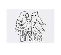 Azeeda 'I Love Birds' Temporary Tattoo - Water Resistant, Skin-Safe, Non-Toxic Transfer (TO00087299)