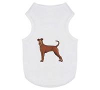 Azeeda 'Irish Terrier' Pet Dog/Cat T-Shirt, L (PT00095887)