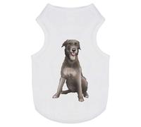 Azeeda 'Irish Wolfhound' Pet Dog/Cat T-Shirt, L (PT00089351)