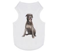 Azeeda 'Irish Wolfhound' Pet Dog/Cat T-Shirt, M (PT00089350)