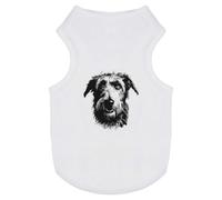 Azeeda 'Irish Wolfhound Portrait' Pet Dog/Cat T-Shirt, M (PT00182770)