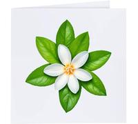 Azeeda 'Jasmine Flower' Blank Greeting Card (GC00090681)