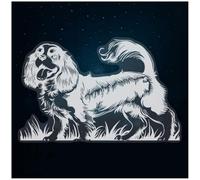 Azeeda 'King Charles Spaniel' Window Cling - White, 46cm (WC00184755)