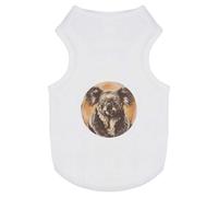 Azeeda 'Koala Portrait' Pet Dog/Cat T-Shirt, L (PT00151775)