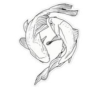 Azeeda 'Koi Carp' Sticker - Clear, 21cm (DC00088371) | Waterproof Permanent Vinyl Decal for Cars, Windows and Bins