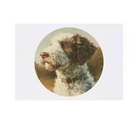 Azeeda 'Lagotto Romagnolo Dog' Temporary Tattoo - A6 (TO00103661)
