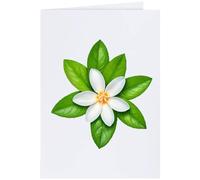 Azeeda Large (A4) 'Jasmine Flower' Blank Greeting Card (GC00090682)