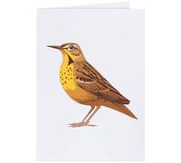 Azeeda Large (A4) 'Yellow Bird with Brown Spots' Blank Greeting Card (GC00087954)