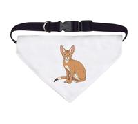 Azeeda Large 'Abyssinian Cat' Dog/Cat/Pet Bandana (PD00078318)