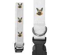 Azeeda Large 'African Bat-Eared Fox' Dog Collar (PR00072366)