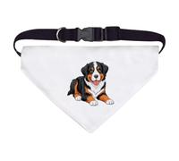 Azeeda Large 'Bernese Mountain Dog' Dog/Cat/Pet Bandana (PD00077508)