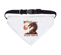 Azeeda Large 'Beware Here Be Dragons' Dog/Cat/Pet Bandana (PD00082938)