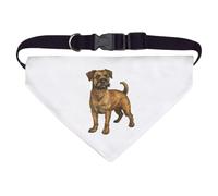 Azeeda Large 'Border Terrier Standing' Dog/Cat/Pet Bandana (PD00066250)