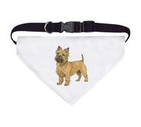 Azeeda Large 'Cairn Terrier Standing' Dog/Cat/Pet Bandana (PD00066262)