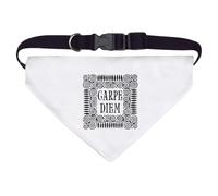 Azeeda Large 'Carpe Diem Motif' Dog/Cat/Pet Bandana (PD00082950)