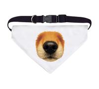 Azeeda Large 'Close-Up Of A Dog's Nose And Muzzle' Dog/Cat/Pet Bandana (PD00070796)